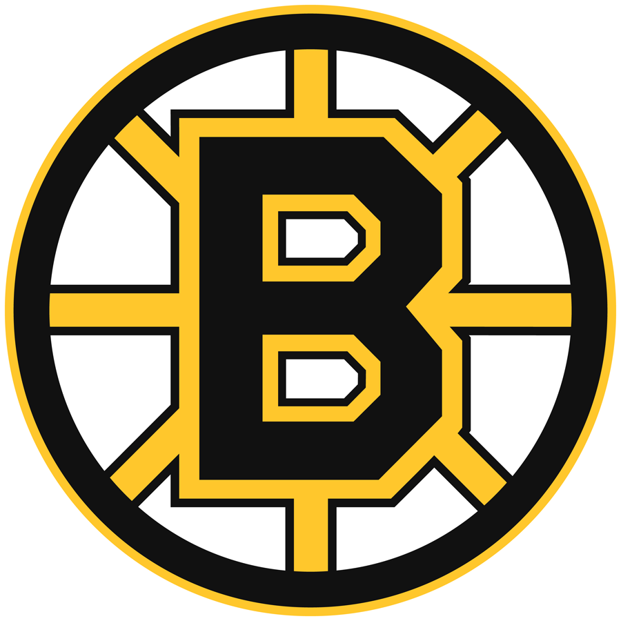 Boston Bruins 1995-2007 Primary Logo DIY iron on transfer (heat transfer)